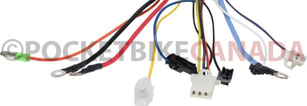 Controller - 36V/48V, 350W/500W, 22A, 60 or 120 Degree - 10C5622 - PBC1955F1