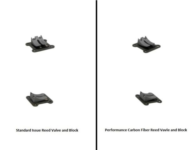 Reed Valve and Block - Air Cooled - 20A9910 - PBC1699F1