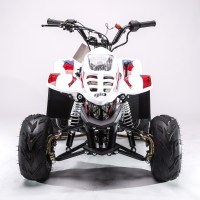 110cc-mini-Blazer