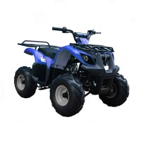 125ccatvside