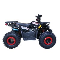 ATV125H4
