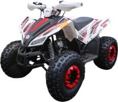 Blazer_125Z-PocketBikeCanada