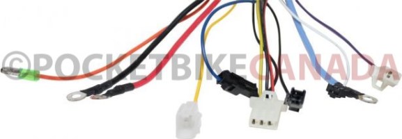 Controller - 36V/48V, 350W/500W, 22A, 60 or 120 Degree - 10C5622 - PBC1955F1