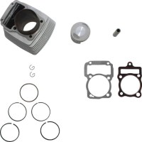 Cylinder Block Assembly - 250cc, Air Cooled - 20A8470 - PBC1795F1