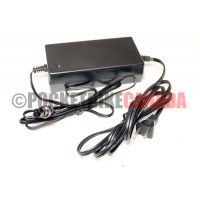 ElectricATVCharger