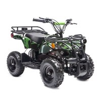 Electric_atv16